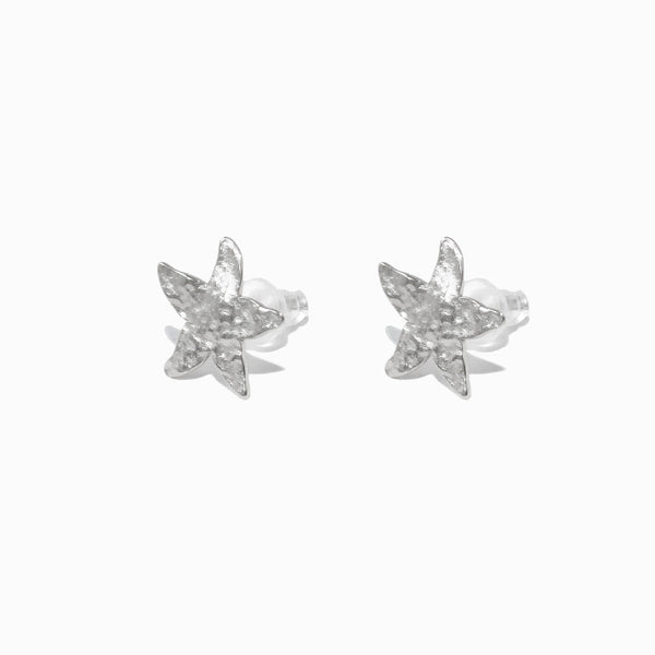 Brincos Verão Estrela do Mar BR1774P-MBE013 - Aço Inox