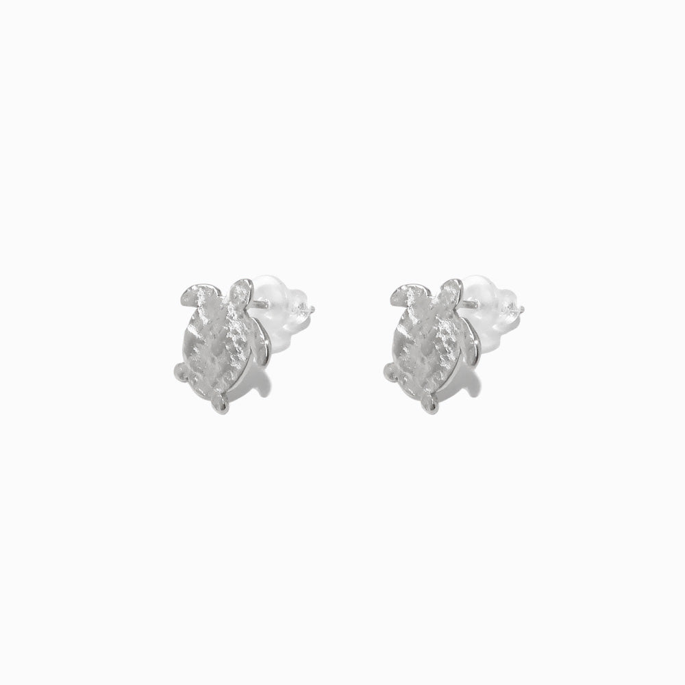 Brincos Verão Tartaruga BR1775P-MBE013 - Aço Inox