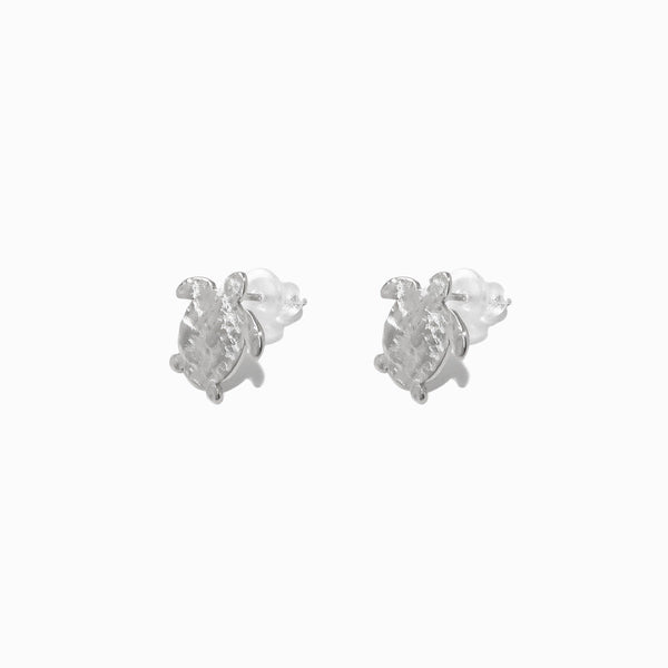 Brincos Verão Tartaruga BR1775P-MBE013 - Aço Inox