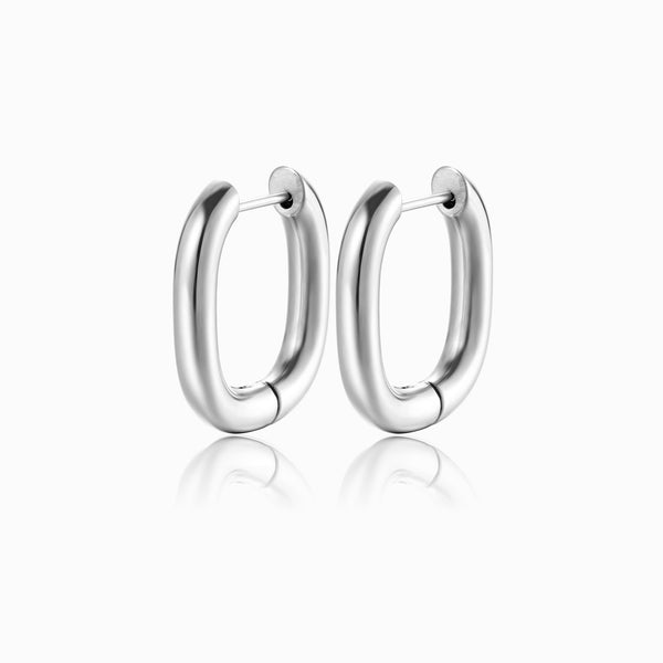 Brincos Aço Inox Prateado 24x20mm