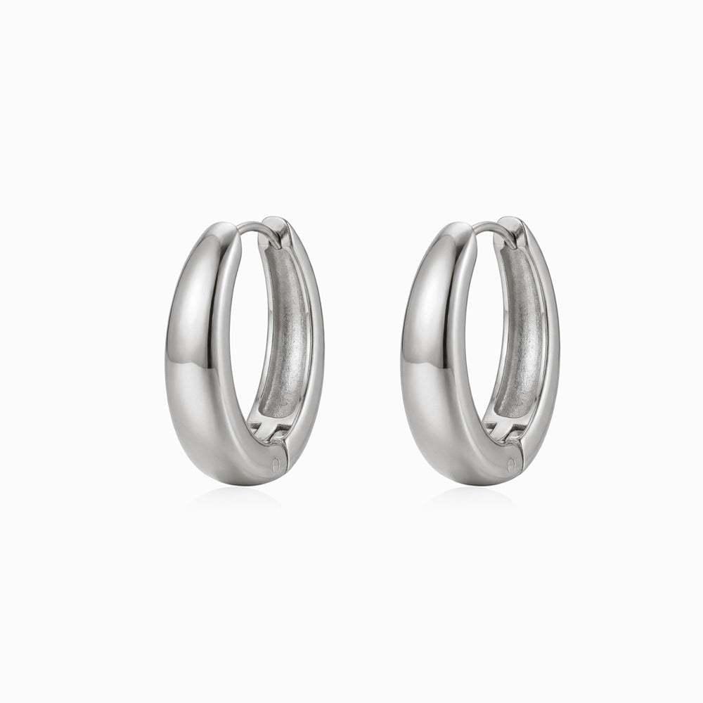 Brincos de Argola BR1803P-DSR045 - Aço Inox