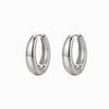 Brincos de Argola BR1803P-DSR045 - Aço Inox