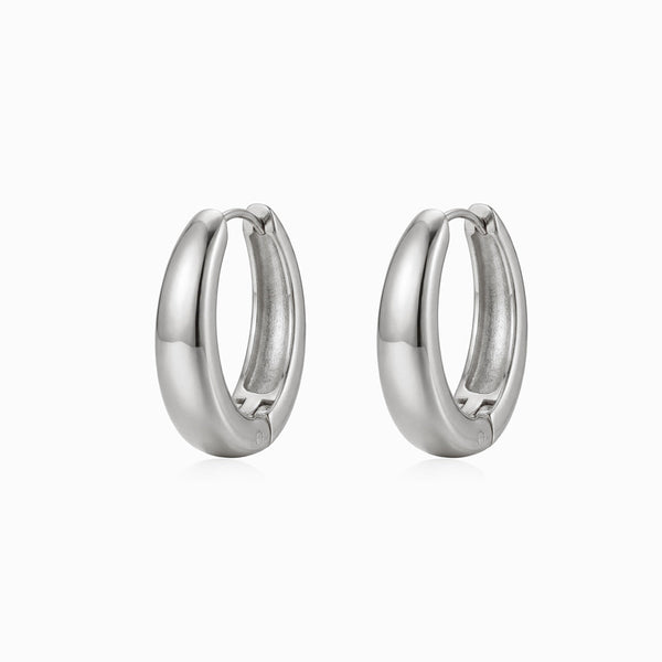 Brincos de Argola BR1803P-DSR045 - Aço Inox