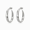 Brincos de Argola BR1912P-JPR076 - Aço Inox
