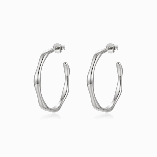 Brincos de Argola BR1913P-JPR062 - Aço Inox
