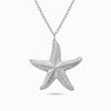 Colar Estrela do Mar em Aço Inoxidável