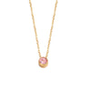 Colar com Brilhante Rosa CL2007 - Aço Inox