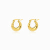 Brincos de Argola 17x15mm BR3055 - Aço Inox Dourado