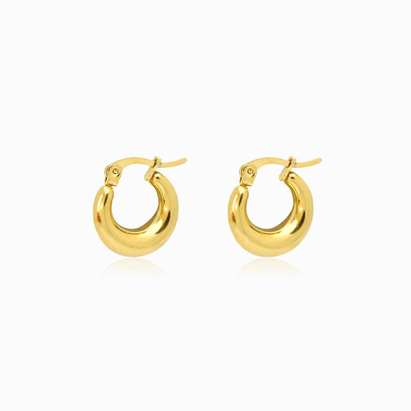 Brincos de Argola 17x15mm BR3055 - Aço Inox Dourado